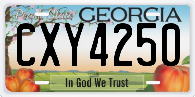 GA license plate CXY4250