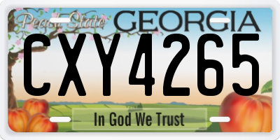 GA license plate CXY4265