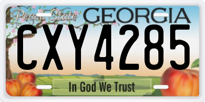 GA license plate CXY4285