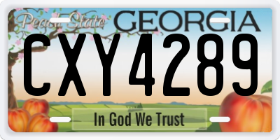 GA license plate CXY4289