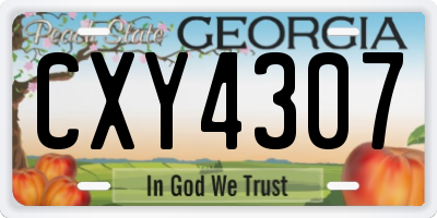 GA license plate CXY4307