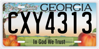GA license plate CXY4313