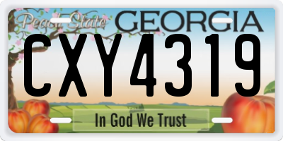 GA license plate CXY4319