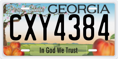 GA license plate CXY4384