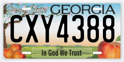 GA license plate CXY4388