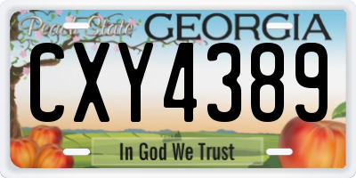 GA license plate CXY4389