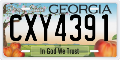 GA license plate CXY4391