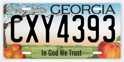 GA license plate CXY4393
