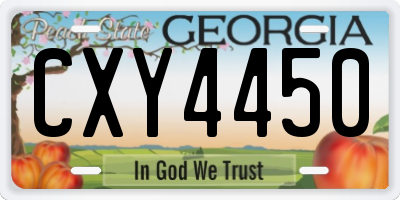 GA license plate CXY4450