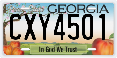 GA license plate CXY4501