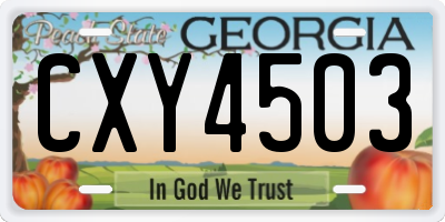 GA license plate CXY4503