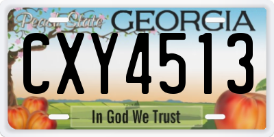 GA license plate CXY4513