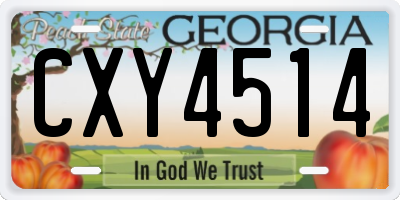 GA license plate CXY4514