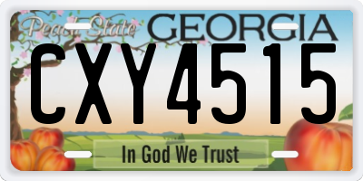 GA license plate CXY4515