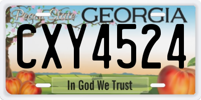 GA license plate CXY4524