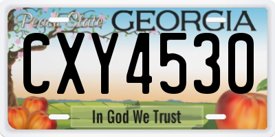 GA license plate CXY4530
