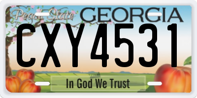 GA license plate CXY4531