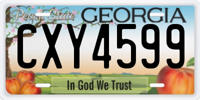 GA license plate CXY4599