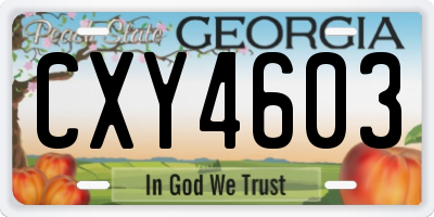 GA license plate CXY4603