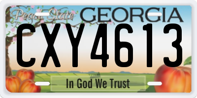 GA license plate CXY4613