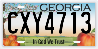 GA license plate CXY4713