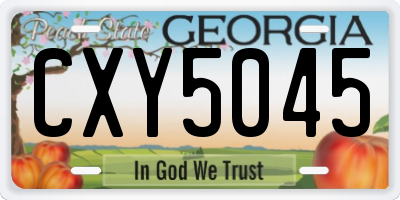 GA license plate CXY5045