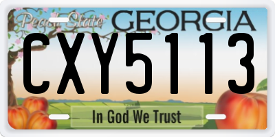 GA license plate CXY5113