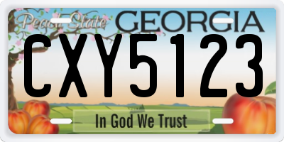 GA license plate CXY5123