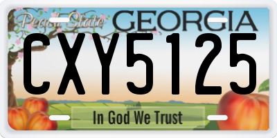 GA license plate CXY5125