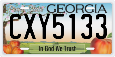 GA license plate CXY5133