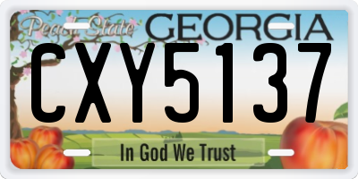 GA license plate CXY5137