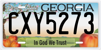 GA license plate CXY5273