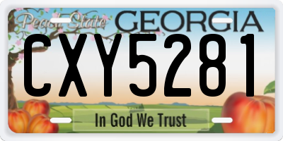 GA license plate CXY5281