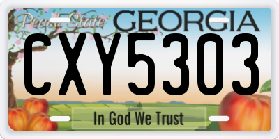 GA license plate CXY5303