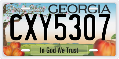 GA license plate CXY5307