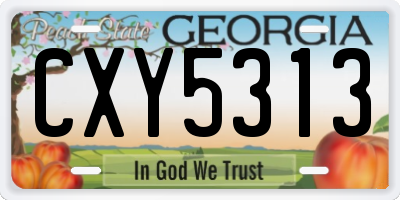 GA license plate CXY5313