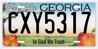 GA license plate CXY5317