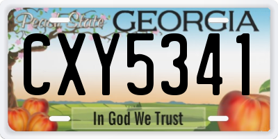 GA license plate CXY5341