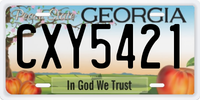 GA license plate CXY5421