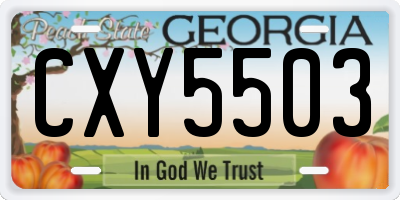 GA license plate CXY5503