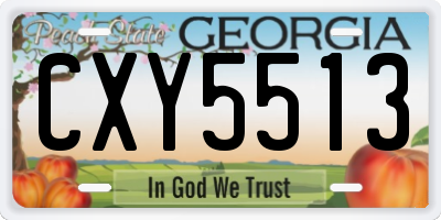 GA license plate CXY5513