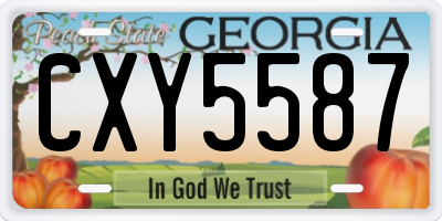 GA license plate CXY5587