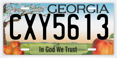 GA license plate CXY5613
