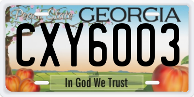GA license plate CXY6003