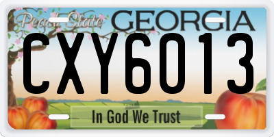 GA license plate CXY6013