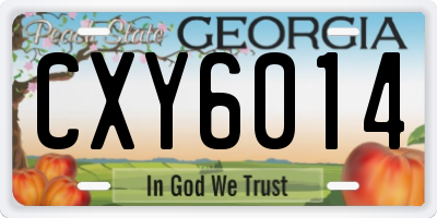 GA license plate CXY6014