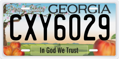 GA license plate CXY6029