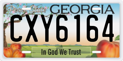 GA license plate CXY6164