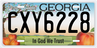 GA license plate CXY6228
