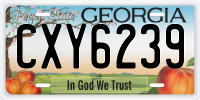 GA license plate CXY6239